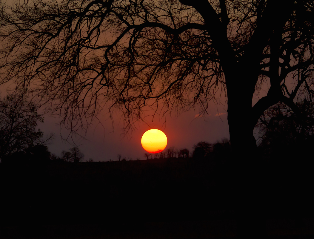 African Sunset