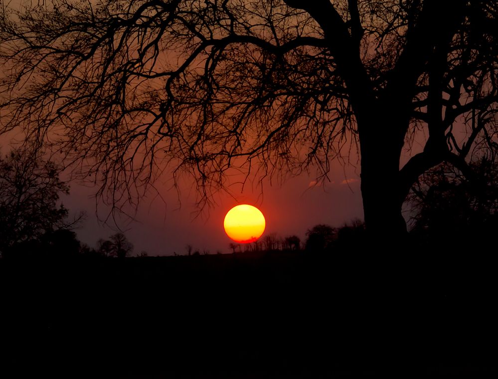 African Sunset