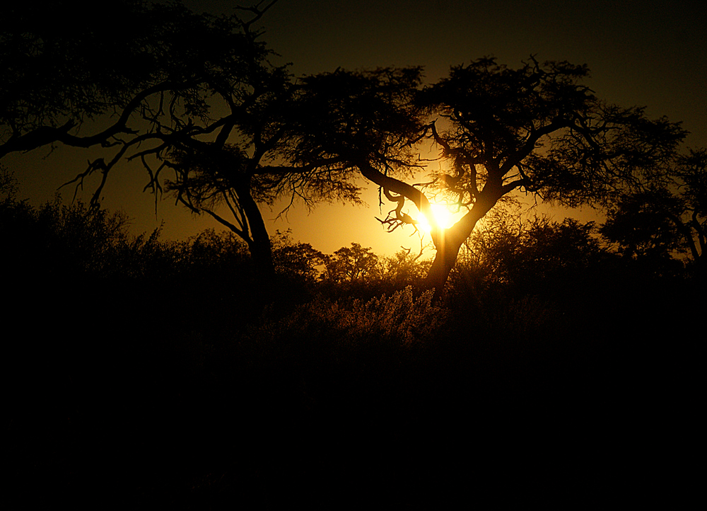 African Sunset