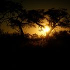 African Sunset