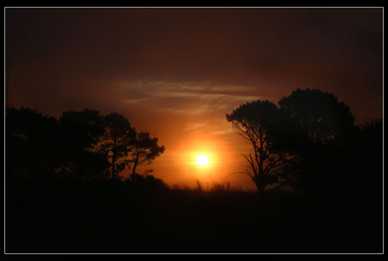 African Sunset