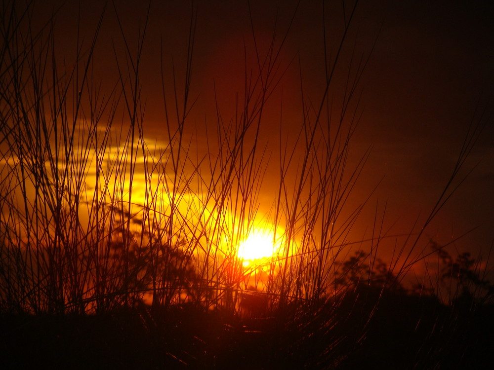 African Sunset