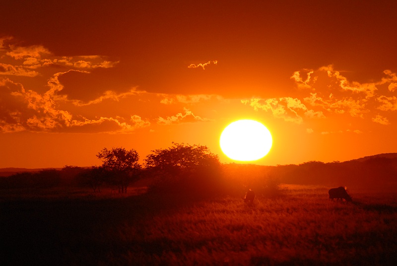 African Sunset