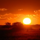 African Sunset