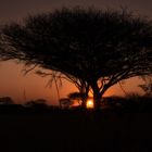 African Sunset