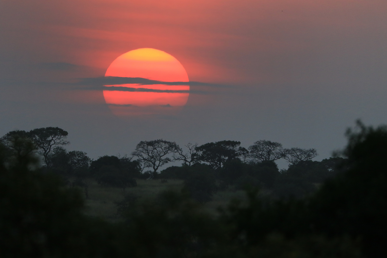 African Sunset