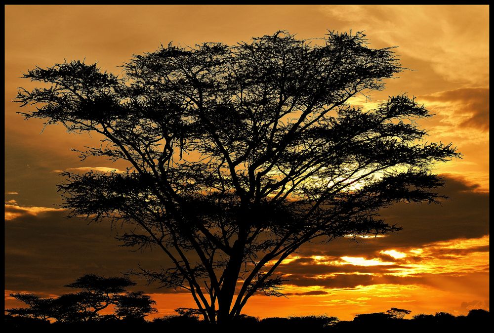 African sunset