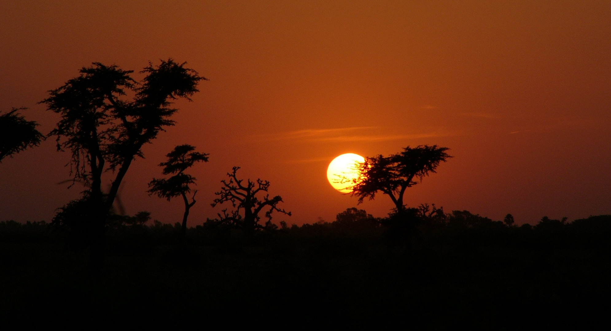 African Sunset