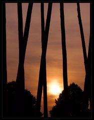 African sunset