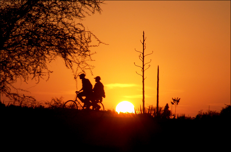 African Sunset