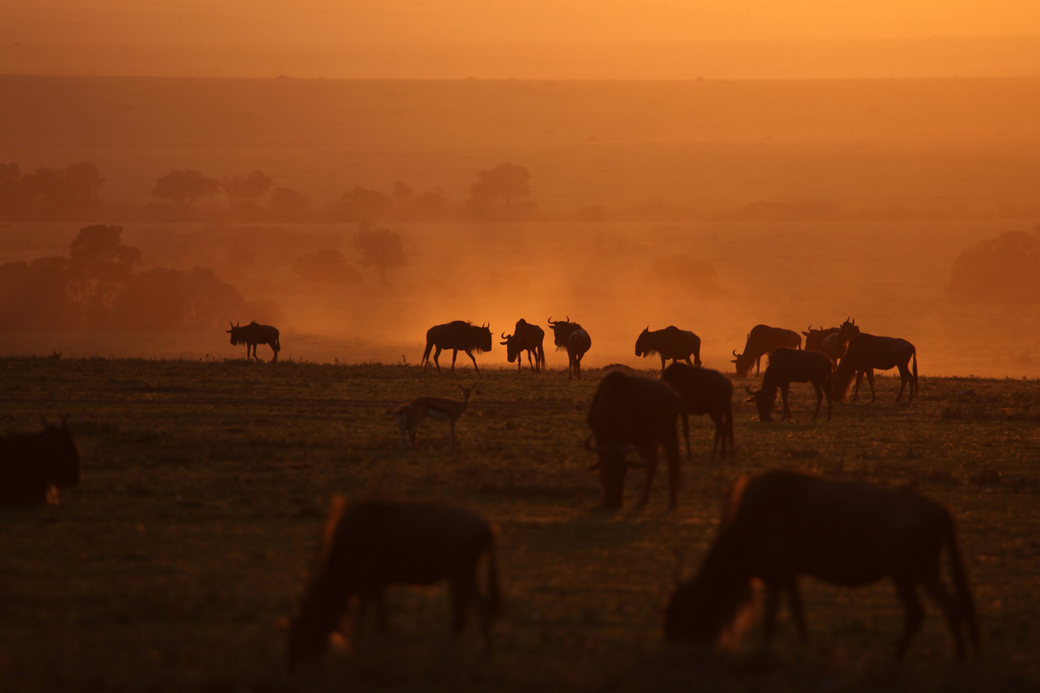 African sunset