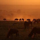 African sunset