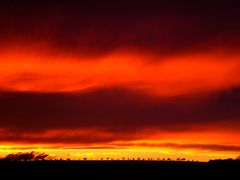 "African" Sunset in Würzburg