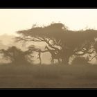 African Sunset *Reload*