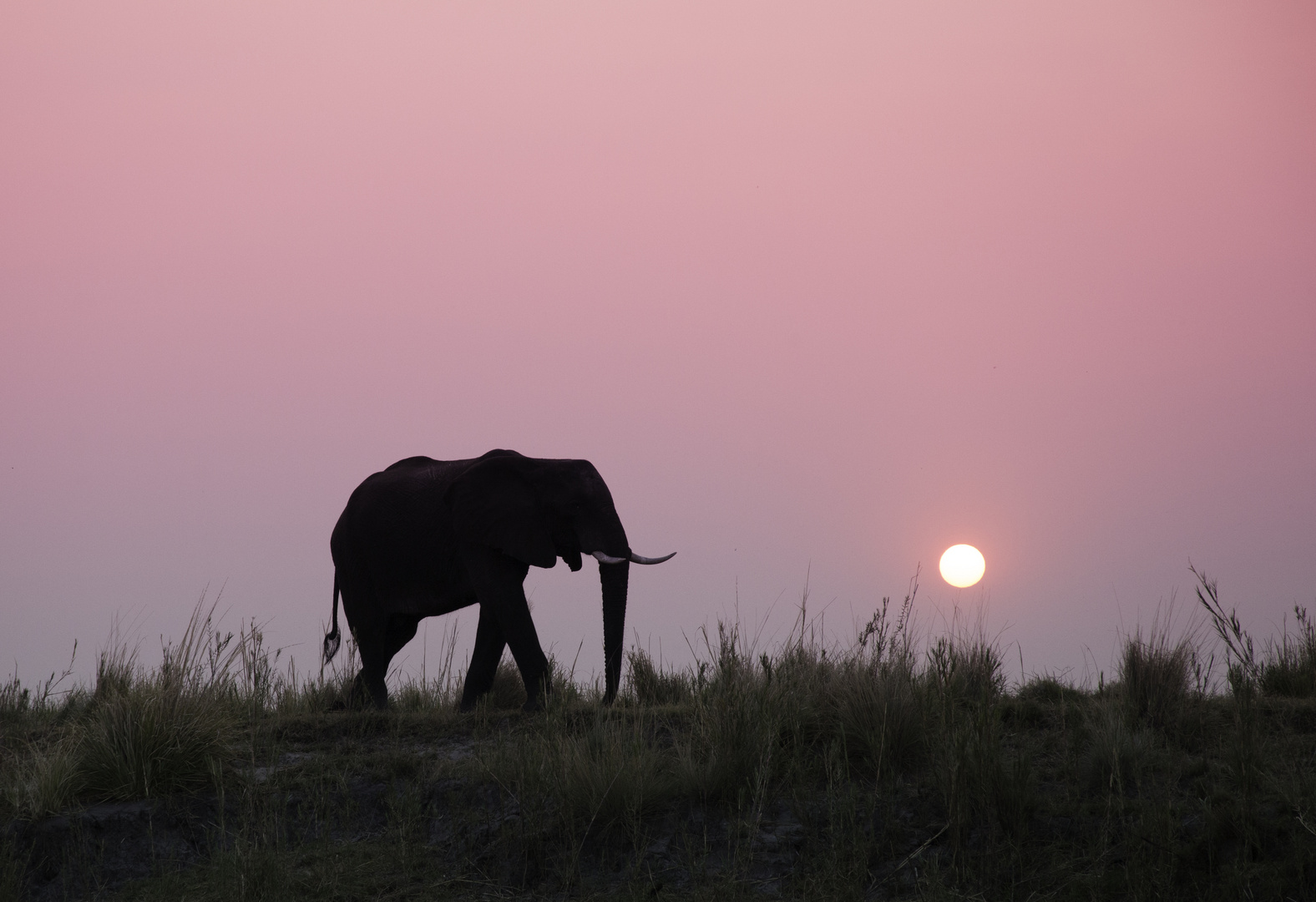 African Sunsets are magic!