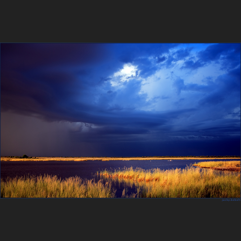 African Thundershower