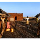 African Village Life