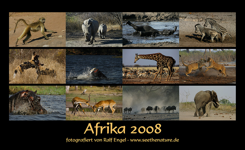 Afrika 2008 - Kalender