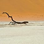 Afrika 2013_0196_1