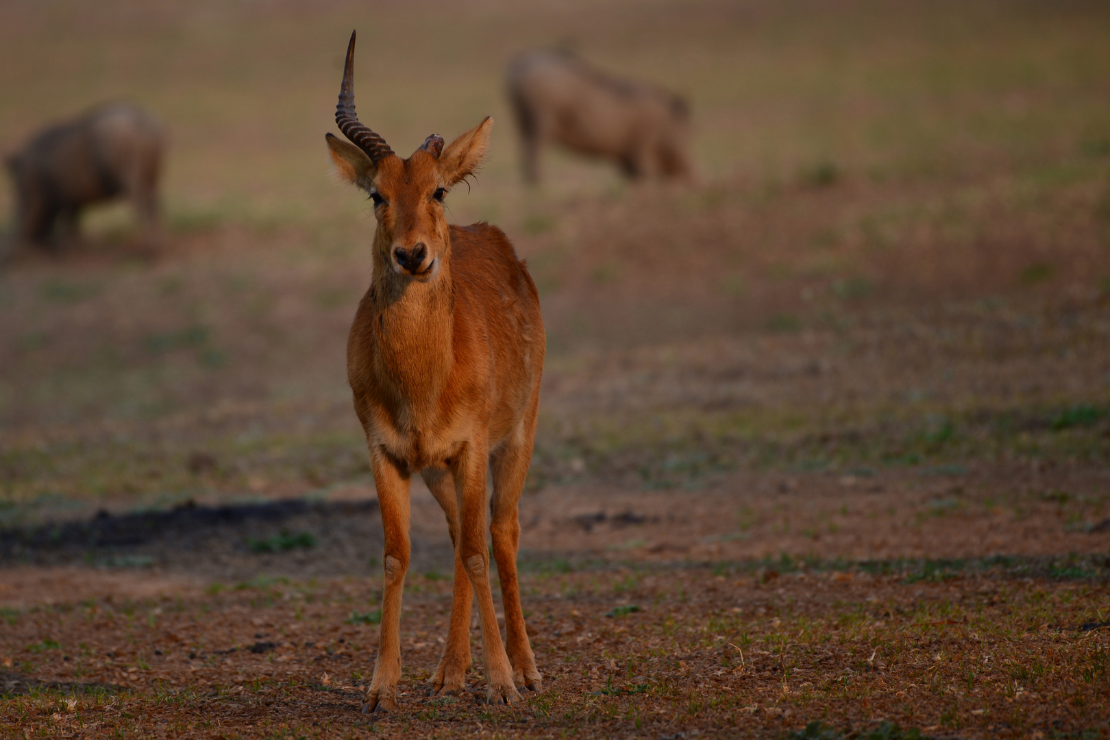 Afrika 2019_0412