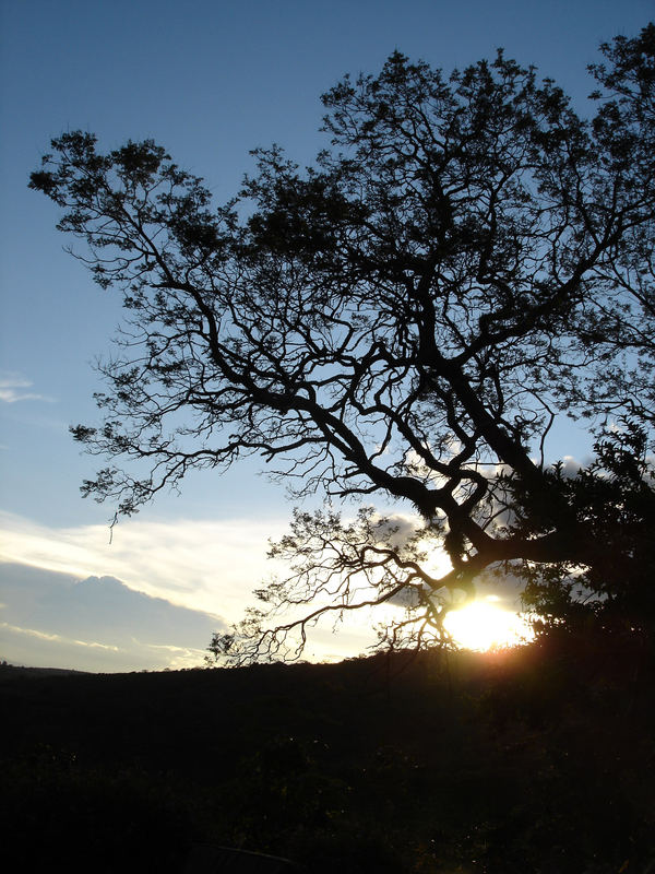 Afrika bei Sonnenuntergang