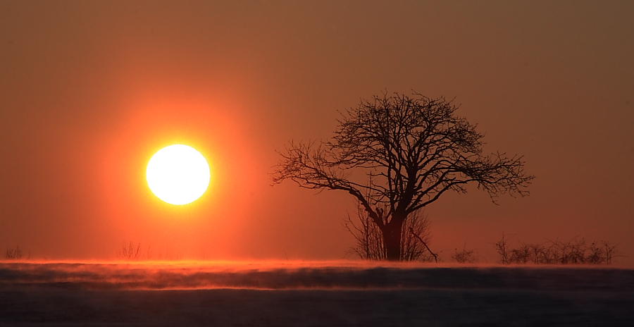 Afrika daheim :)