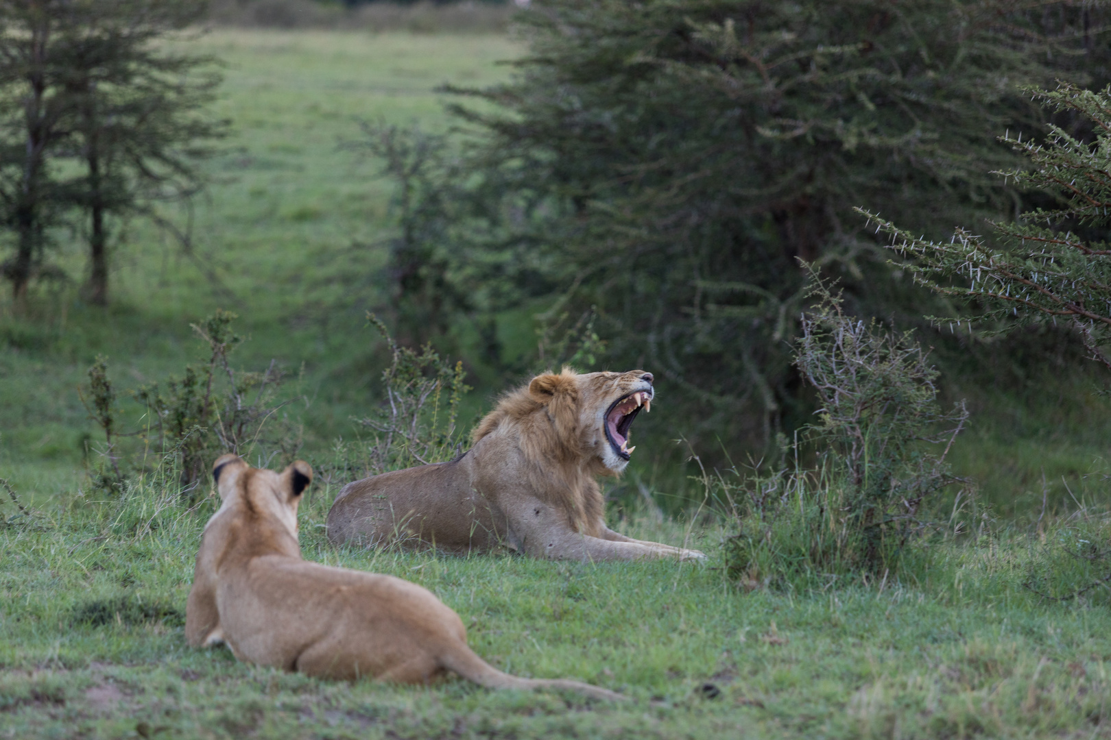 Afrika Dezember 2017 Foto & Bild world, youth, natur Bilder auf