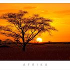 AFRIKA