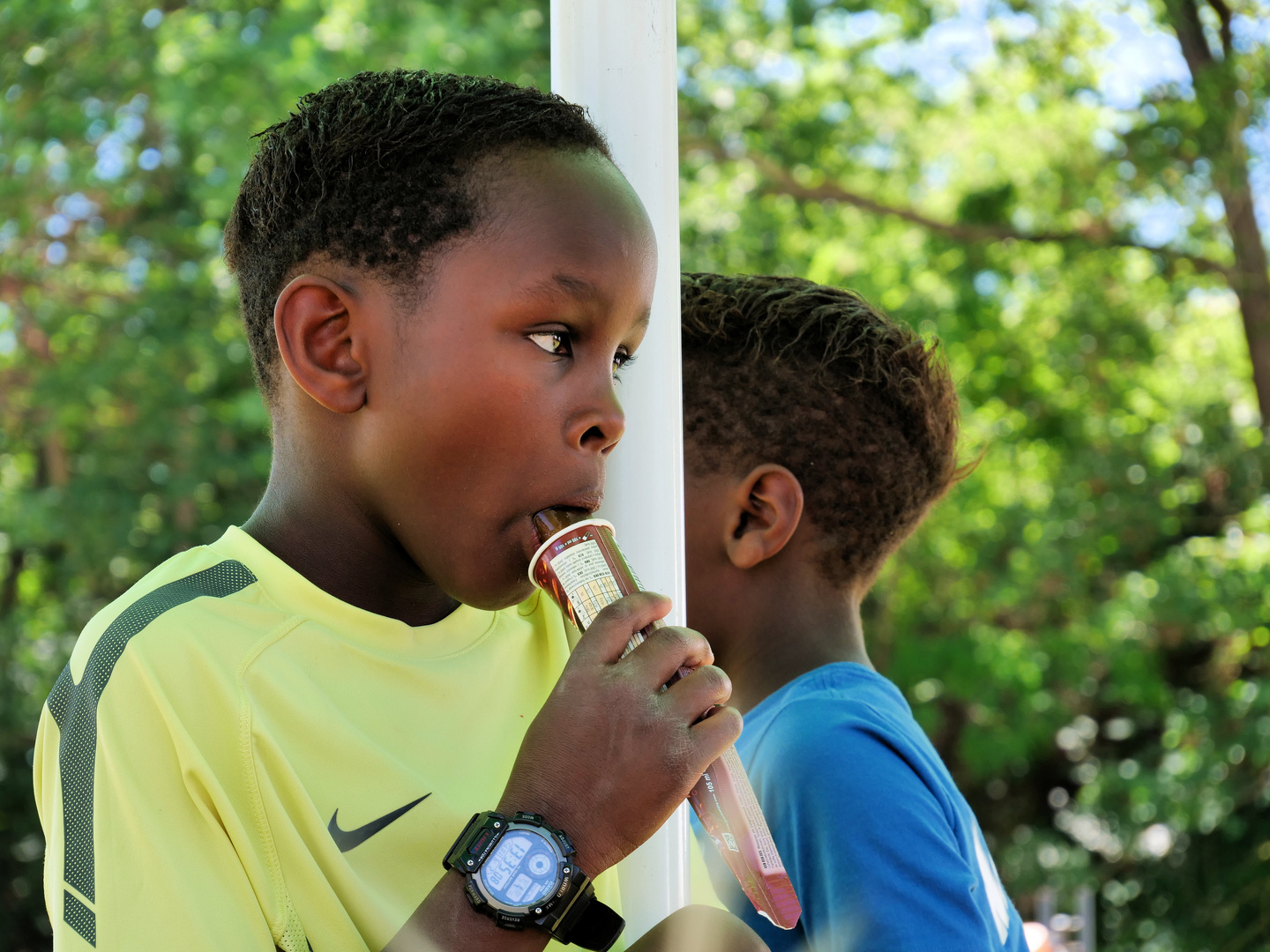 Afrika Festival Würzburg