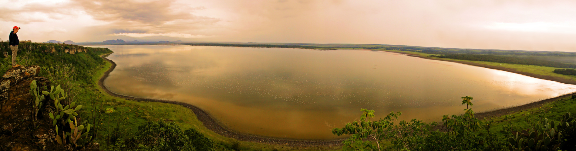 Afrika-Flamingosee-Panorama