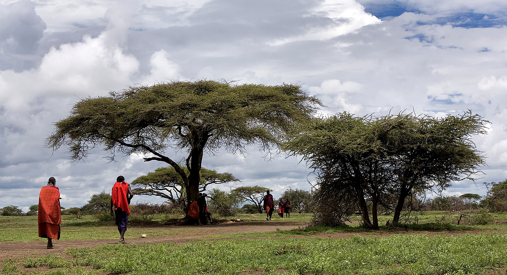 Afrika Impressionen