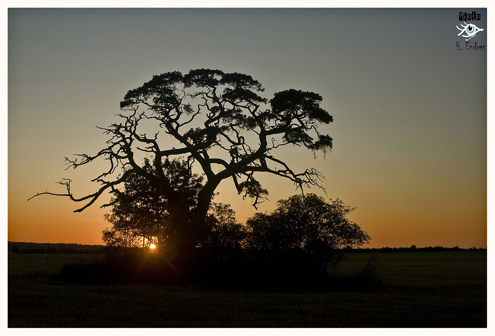 Afrika in Franken (2)