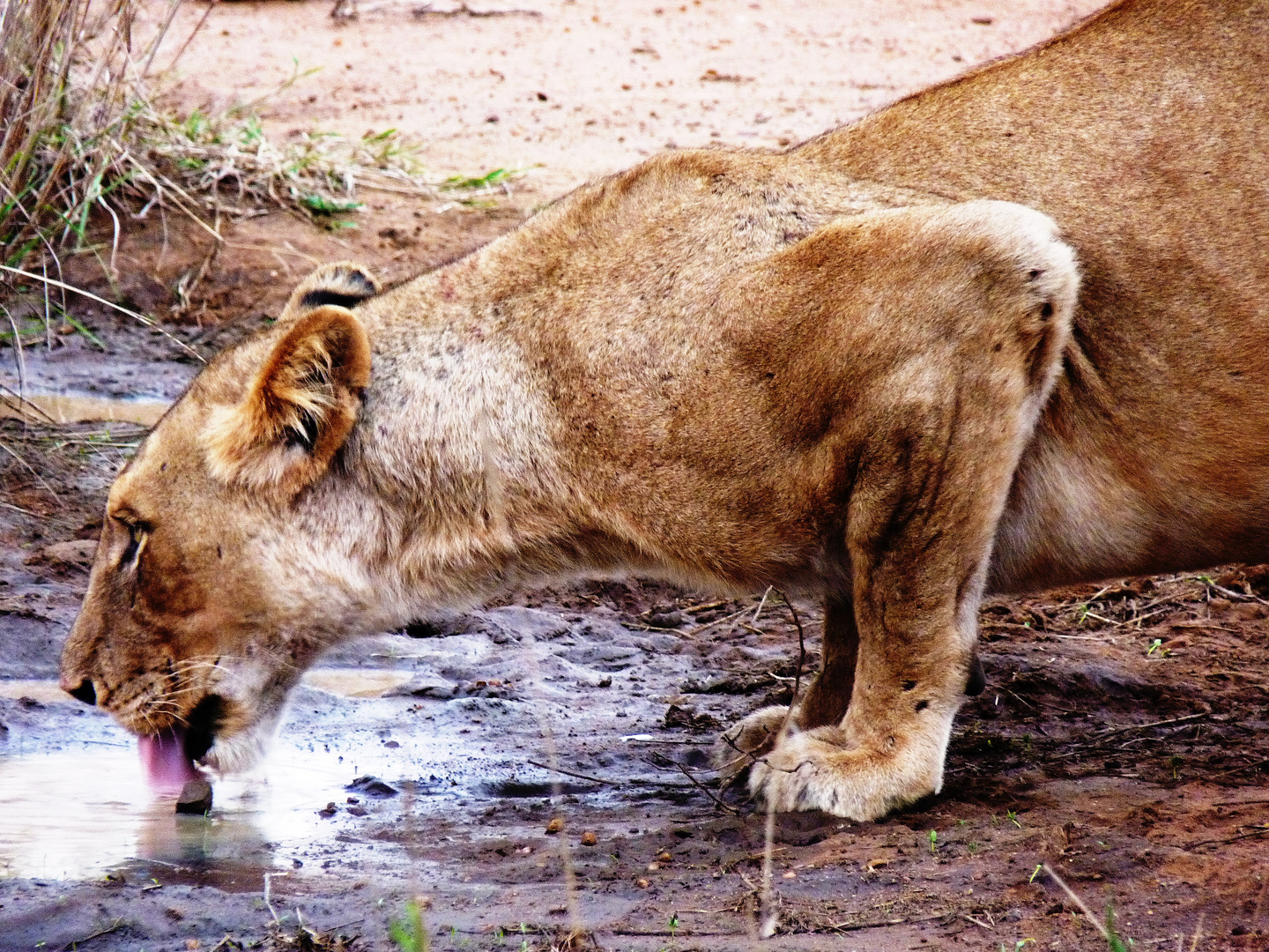 Afrika macht durstig