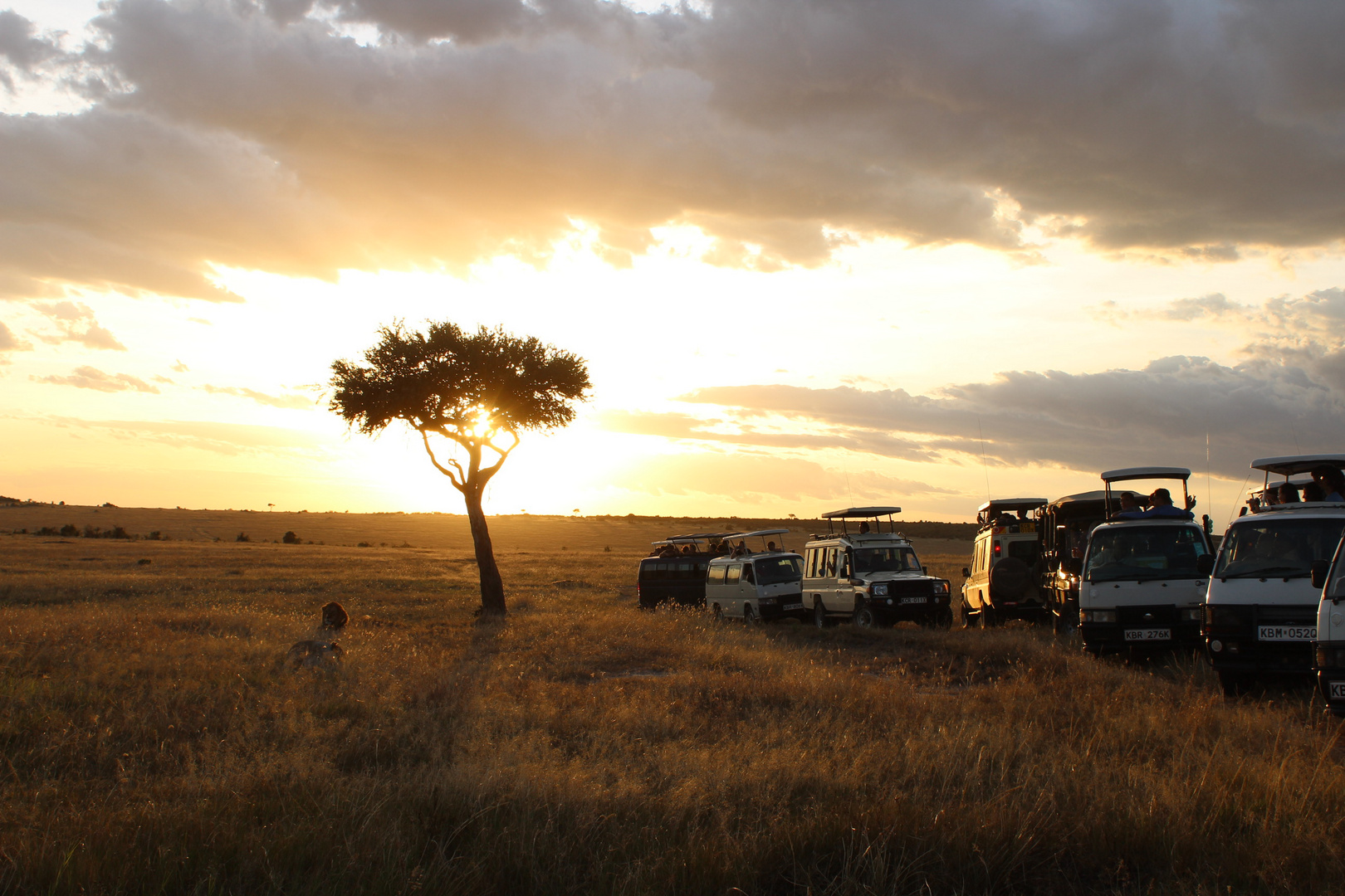 Afrika - Masai Mara