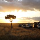 Afrika - Masai Mara