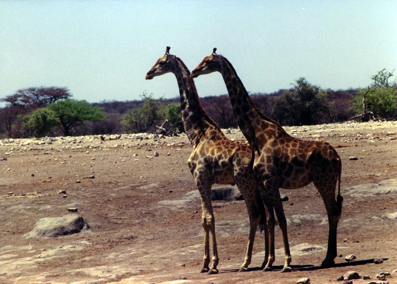 Afrika-Namibia