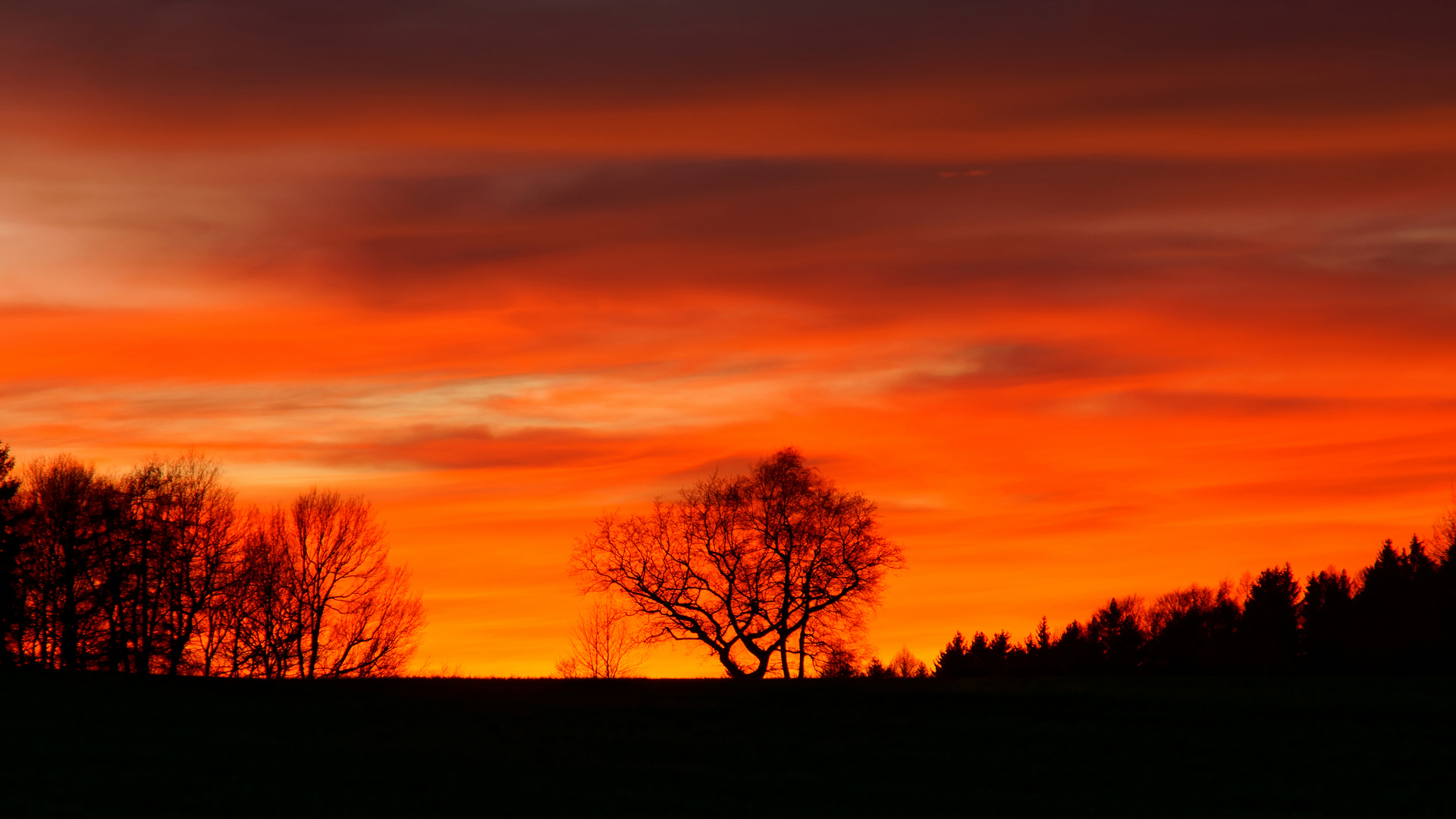 Afrika? Nein, Schönbach ... Sonnenuntergang am 31.01.2020