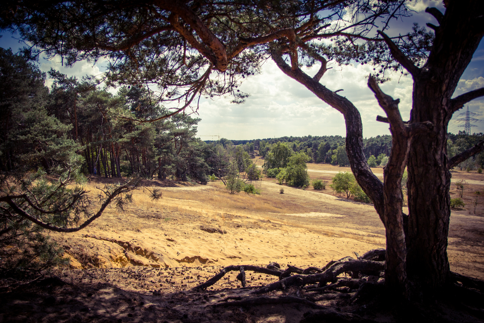 Afrika? Nein....Westmünsterland 