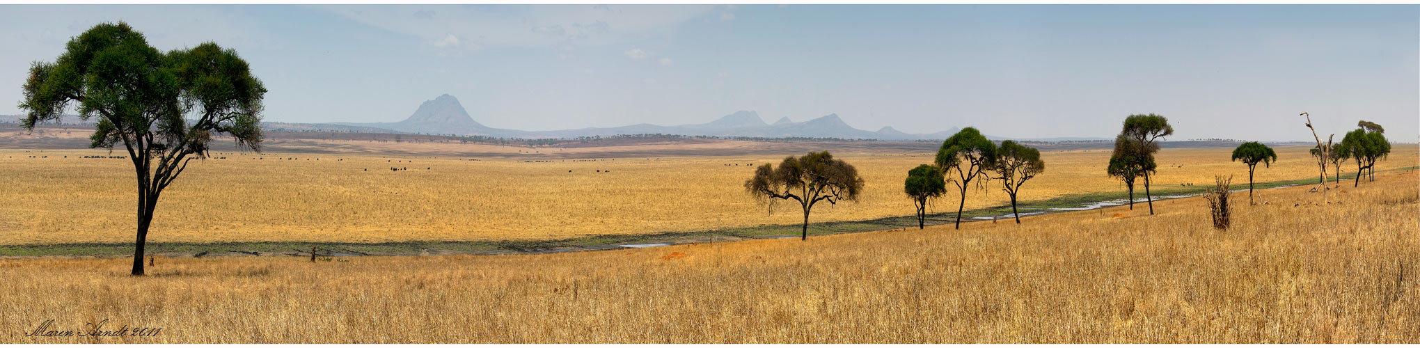 Afrika - Overlook Tarangire NP