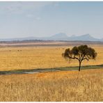 Afrika - Overlook Tarangire NP