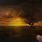 Afrika Panorama