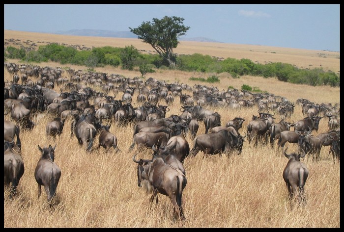 Afrika rennt vor uns weg