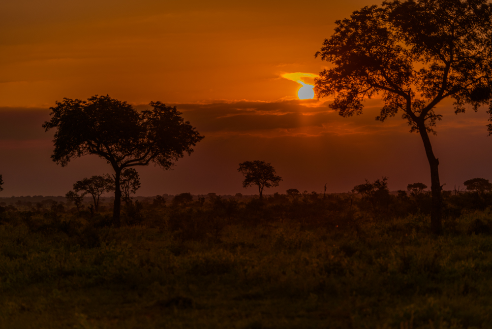 Afrika Sonnenuntergang
