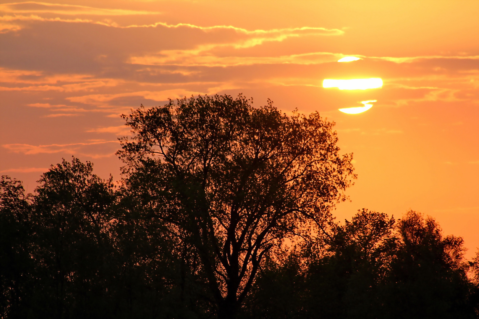 "Afrika Stimmung"