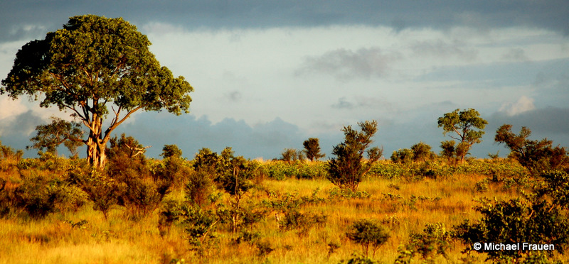 Afrika Stimmung