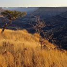 "Afrika - weites Land"