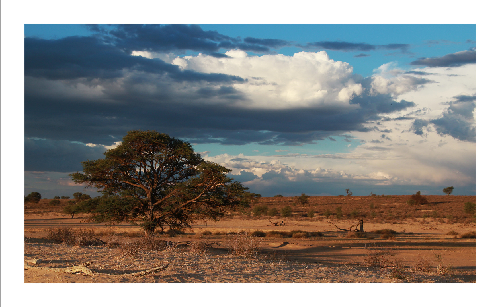 Afrika, wie ich es mag