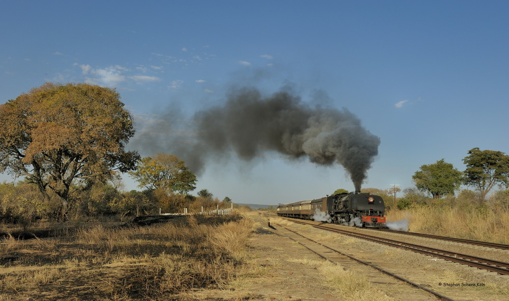 Afrika; Zimbabwe 2013 (6) Laderampe in der Prärie