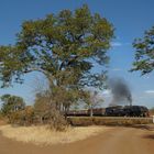 Afrika; Zimbabwe 2013 (8) Weggabelung mit Bahnübergang und ohne Elefant