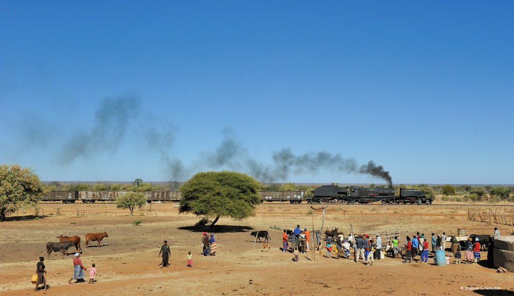 Afrika; Zimbabwe (X) Wasserstelle